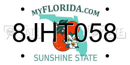8JHT058 Florida License Plate