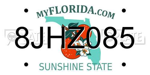 8JHZ085 Florida License Plate