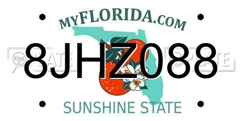 8JHZ088 Florida License Plate