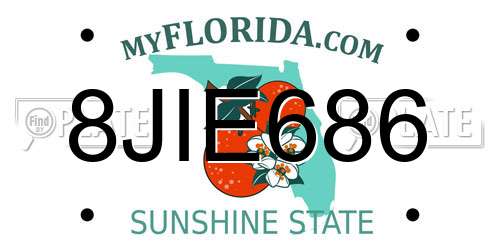 8JIE686 Florida License Plate