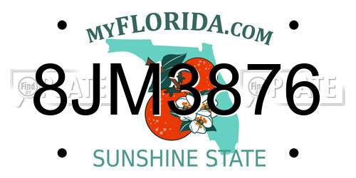 8JM3876 Florida License Plate