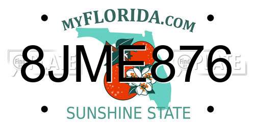 8JME876 Florida License Plate