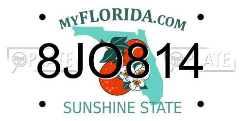 8JO814 Florida License Plate
