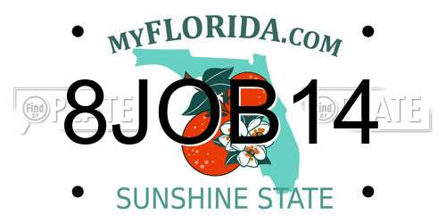 8JOB14 Florida License Plate