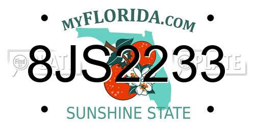 8JS2233 Florida License Plate