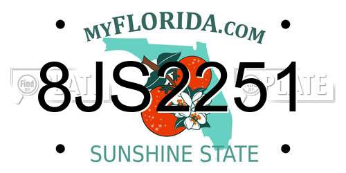 8JS2251 Florida License Plate