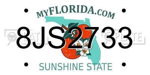 8JS2733 Florida License Plate