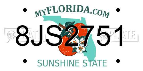 8JS2751 Florida License Plate