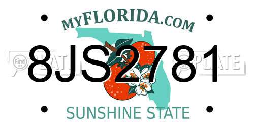 8JS2781 Florida License Plate