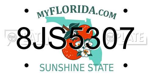 8JS5307 Florida License Plate
