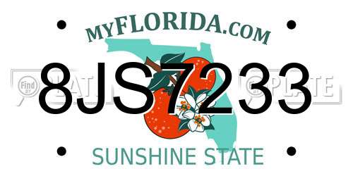 8JS7233 Florida License Plate