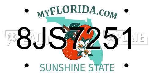 8JS7251 Florida License Plate