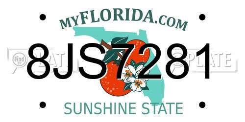 8JS7281 Florida License Plate