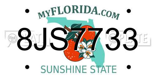 8JS7733 Florida License Plate
