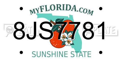 8JS7781 Florida License Plate