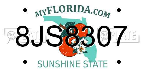 8JS8307 Florida License Plate