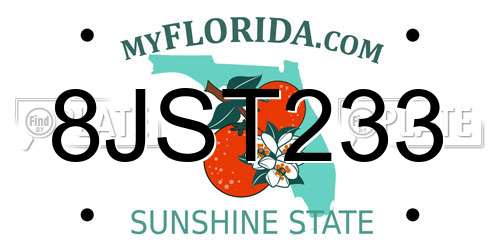8JST233 Florida License Plate