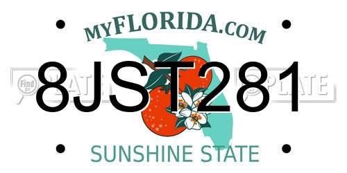 8JST281 Florida License Plate