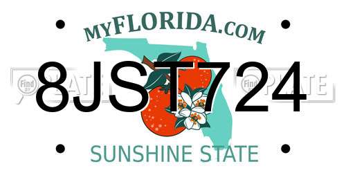 8JST724 Florida License Plate