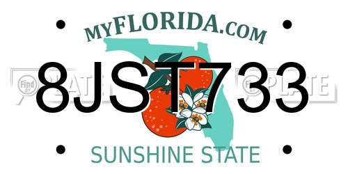8JST733 Florida License Plate