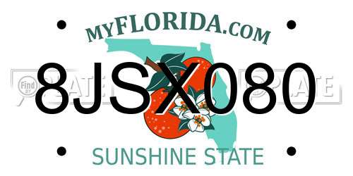 8JSX080 Florida License Plate