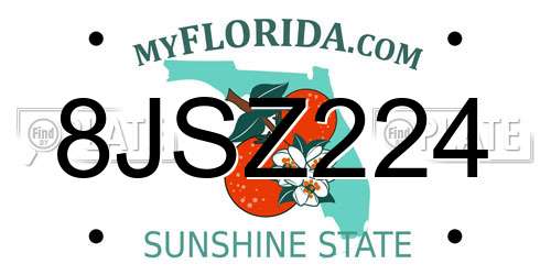 8JSZ224 Florida License Plate
