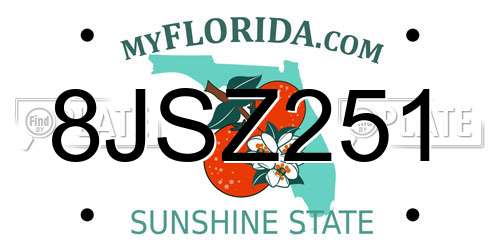 8JSZ251 Florida License Plate