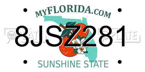 8JSZ281 Florida License Plate