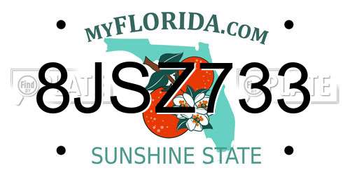 8JSZ733 Florida License Plate