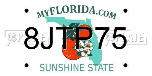 8JTP75 Florida License Plate