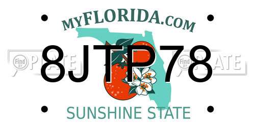 8JTP78 Florida License Plate