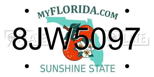 8JW5097 Florida License Plate