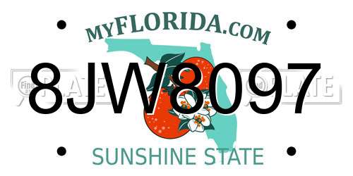 8JW8097 Florida License Plate
