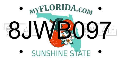 8JWB097 Florida License Plate