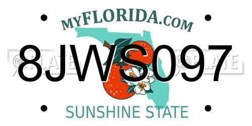 8JWS097 Florida License Plate
