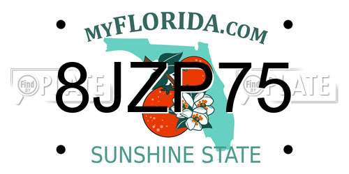 8JZP75 Florida License Plate