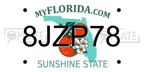 8JZP78 Florida License Plate