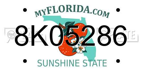 8K05286 Florida License Plate