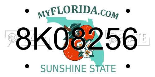 8K08256 Florida License Plate