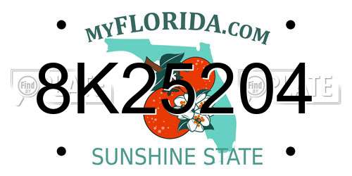 8K25204 Florida License Plate