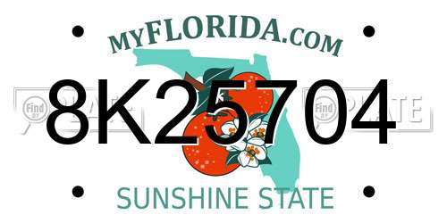 8K25704 Florida License Plate