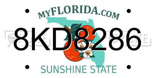 8KD8286 Florida License Plate