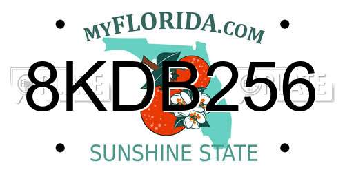 8KDB256 Florida License Plate
