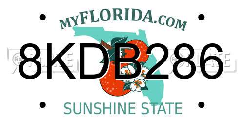8KDB286 Florida License Plate