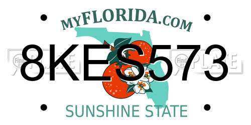 8KES573 Florida License Plate
