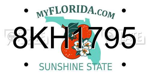 8KH1795 Florida License Plate