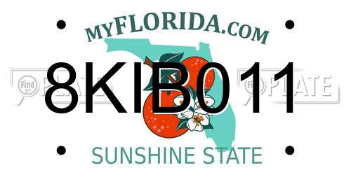 8KIB011 Florida License Plate