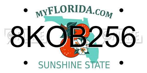 8KOB256 Florida License Plate