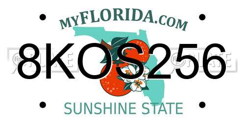 8KOS256 Florida License Plate