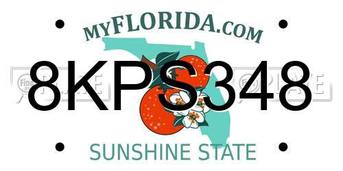 8KPS348 Florida License Plate